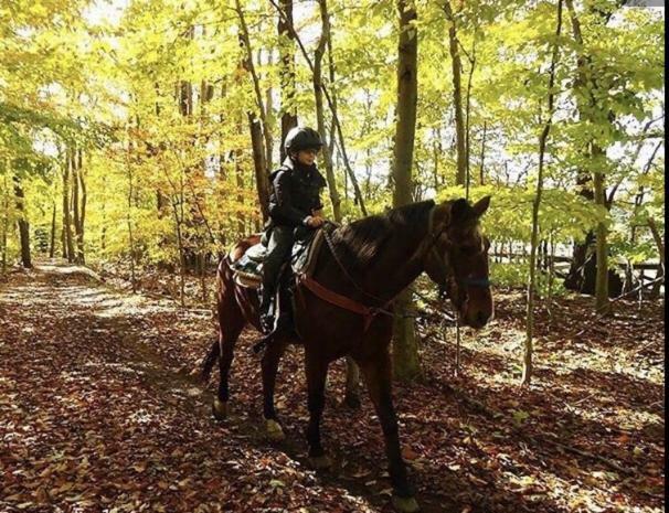 Pocono Cabin With Private Pool At Shawnee Mtn East Stroudsburg Eksteriør billede